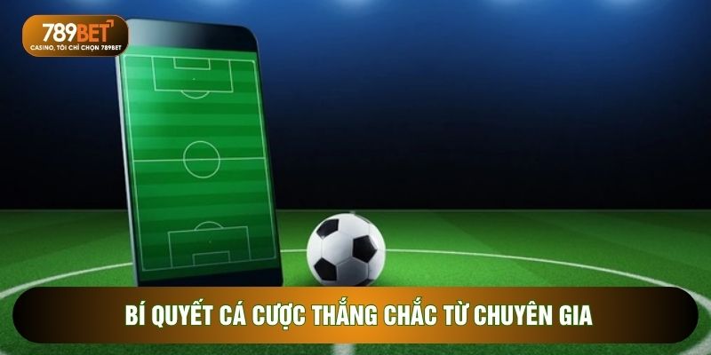 Bí quyết cá cược thắng chắc từ chuyên gia